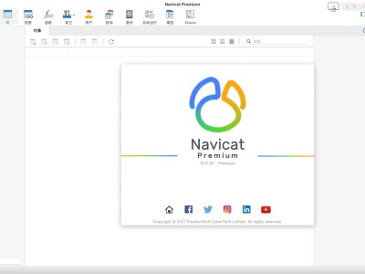 navicat16破解mac(navicat16破解工具下载)