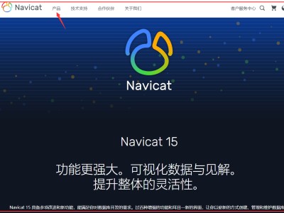 关于navicat15破解工具网盘的信息